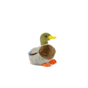 Káčer kačice divokej plyš 18cm plnená guličkami 0m+