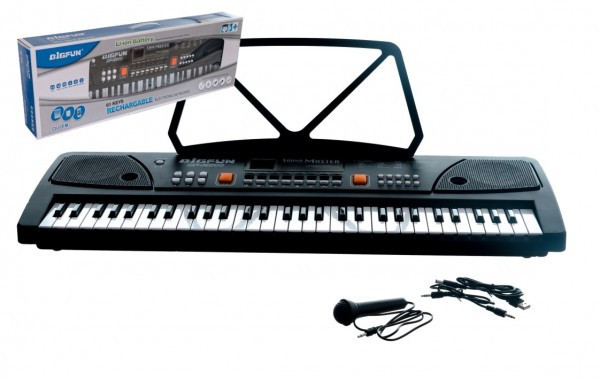 Pianko/Varhany velké plast 61 kláves 63x20cm s mikrofonem a USB na nabíjecí baterie Li-ion v kra
