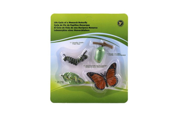 Vývoj motýľa babočky plast 19,5x22,5x2,5cm