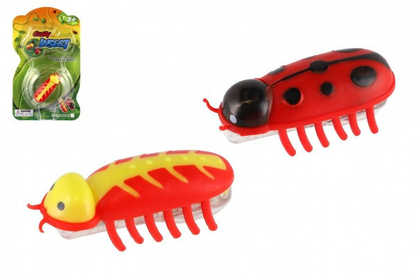 Chrobák/chrobáčik na batérie plast 4,5cm 2 druhy na karte