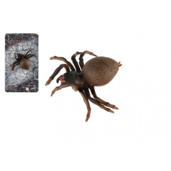 Pavúk antistresový naťahovací silikón 10cm na karte