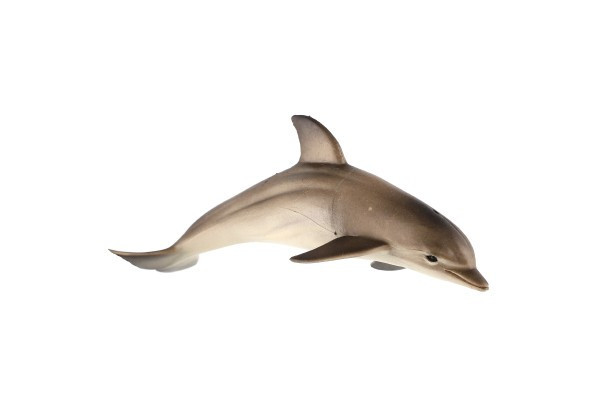 Delfín skákavý zooted plast 12cm