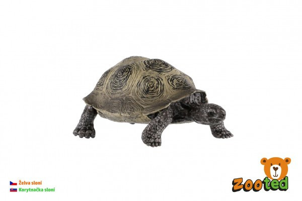 Korytnačka sloní zooted plast 8cm