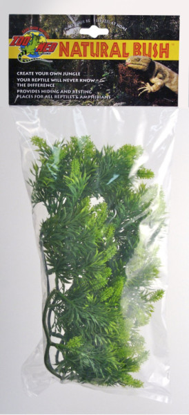 Malaysian Fern - Prírodná kríková rastlina M