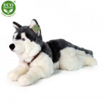 Plyšový pes husky s postrojom ležiaci 60 cm ECO-FRIENDLY