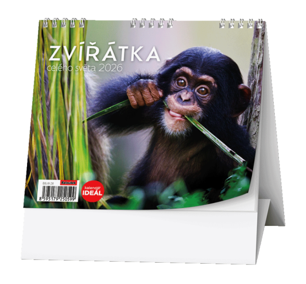 Stolový kalendár - IDEÁL - Zvieratká celého sveta