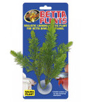 Betta Plant - Šalvia