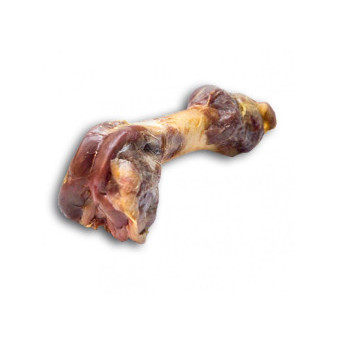 Alpha Spirit Dog Standard Ham Bone