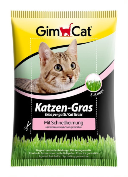 Gimpet Katzen-Gras mačacia tráva 100g