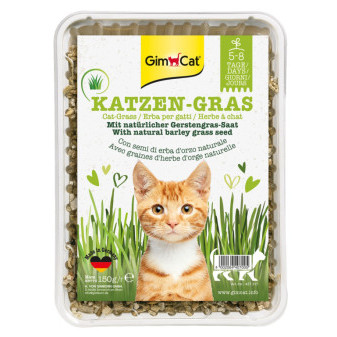 GIMCAT mačacia tráva 150g