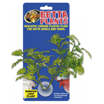 Betta Plant - rastlinka na sklo
