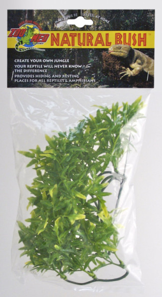 Terárijná rastlina ZMD Bolivian Croton S