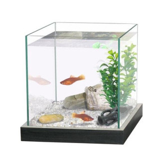 CATGATO Akvárium Cubic cerne 20x20x20