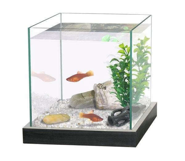 CATGATO Akvárium Cubic cerne 20x20x20