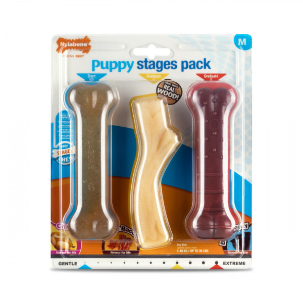 Nylabone hračka Puppy kosť príchuť kuracia, slanina+javor.sirup, hovädzie M 3ks