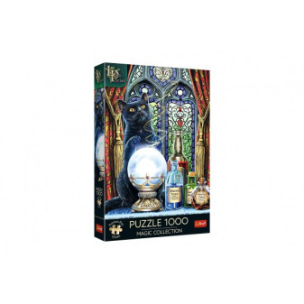 Puzzle Magic Collection: Čarodejnícky učeň 1000 dielikov 48x68, 3cm v krabici 27x40x6cm