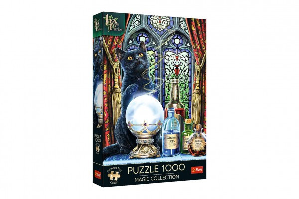 Puzzle Magic Collection: Čarodejnícky učeň 1000 dielikov 48x68, 3cm v krabici 27x40x6cm