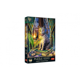 Puzzle Magic Collection: Kniha tieňov 1000 dielikov 48x68, 3cm v krabici 27x40x6cm