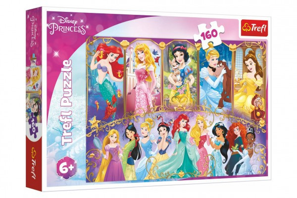 Puzzle Portréty princezien Disney 41x27, 5cm 160 dielikov v krabici 29x19x4cm