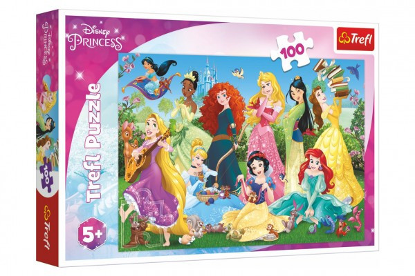 Puzzle Pôvabné princezné / Disney 100 dielikov 41x27, 5cm v krabici 29x19x4cm