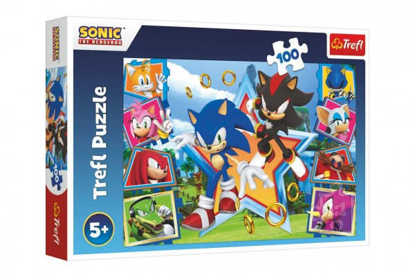 Puzzle Zoznámte sa so Sonicom/Sonic the Hedgehog 100 dielikov 41x27,5cm v krabici 29x19x4cm