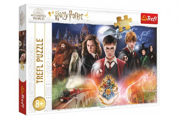 Puzzle Tajomstvo Harry Potter 300dielikov 60x40cm v krabici 40x27x4cm
