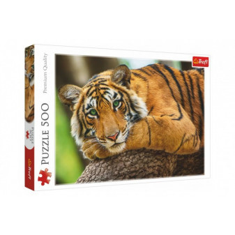 Puzzle Portrét tigra 500 dielikov 48x34cm v krabici 40x27x4, 5cm