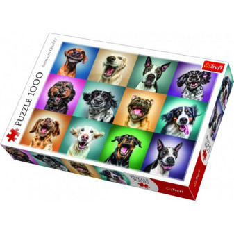Puzzle Legrační psie portréty 1000 dielikov 68,3x48cm v krabici 40x27x6cm