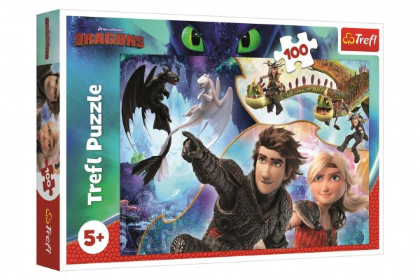 Puzzle Ako vycvičiť draka 100 dielikov 41x27, 5cm v krabici 29x19x4cm
