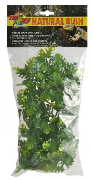 Terárijná rastlina ZMD Amazonian Phyllo M