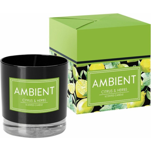 Sviečka Ambient citrus & herbs SN81-095-277