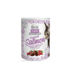 Brit Care Cat Snack Superfruits Salmon 100g