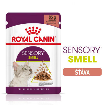 Kapsička Royal Canin FHN Sensory Smell v stave 12 x 85g
