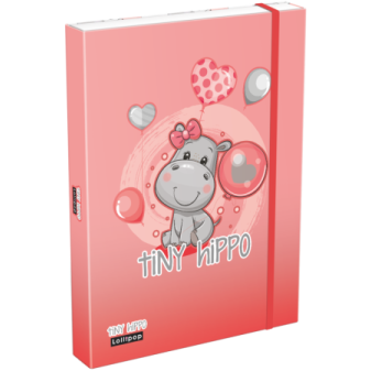Box na zošity A4 lollipop thiny hipo