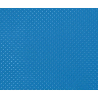 Darpeje Pennyboard Funbee Blue