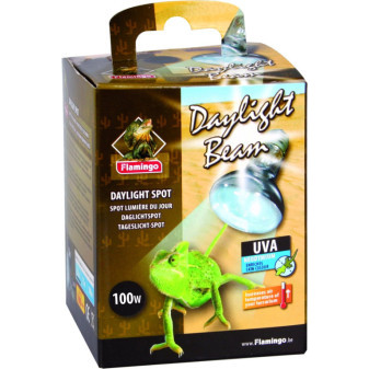 Flamingo Beam bodová žiarovka denné svetlo 100W