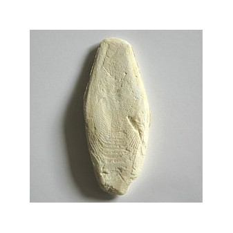 APETIT Sépiová kosť 12cm