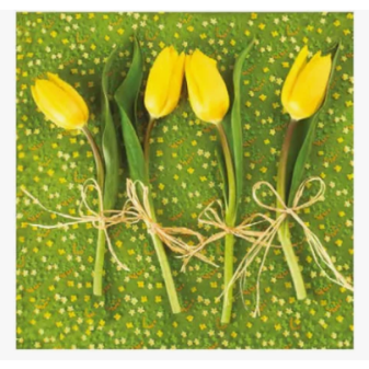 Papierové obrúsky 33x33 3vrst Tulipány 20ks 282074