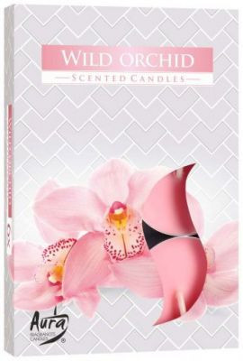 Vonná čajová sviečka Wild Orchid 6 ks v krabičke P15-170
