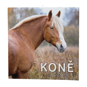 Nástenný kalendár - Kone